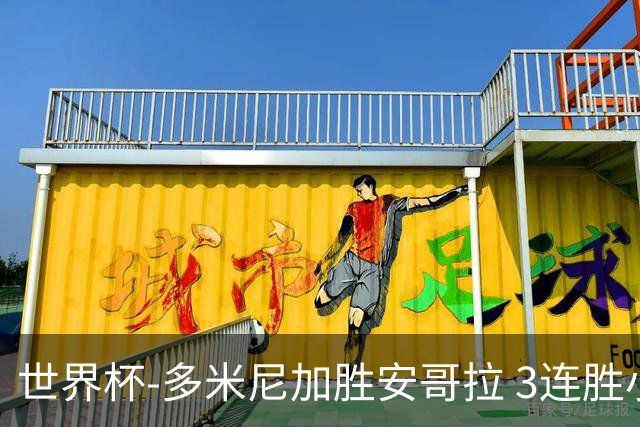 世界杯-多米尼加胜安哥拉 3连胜小组第一晋级